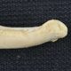 Imagen para el artículo titulado Descubren una especie desconocida de antiguo humano extremadamente pequeño en una cueva de Filipinas